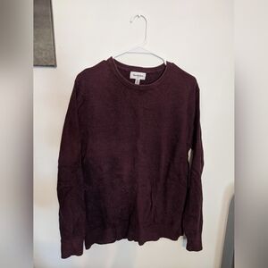 Maroon Men's Sweater